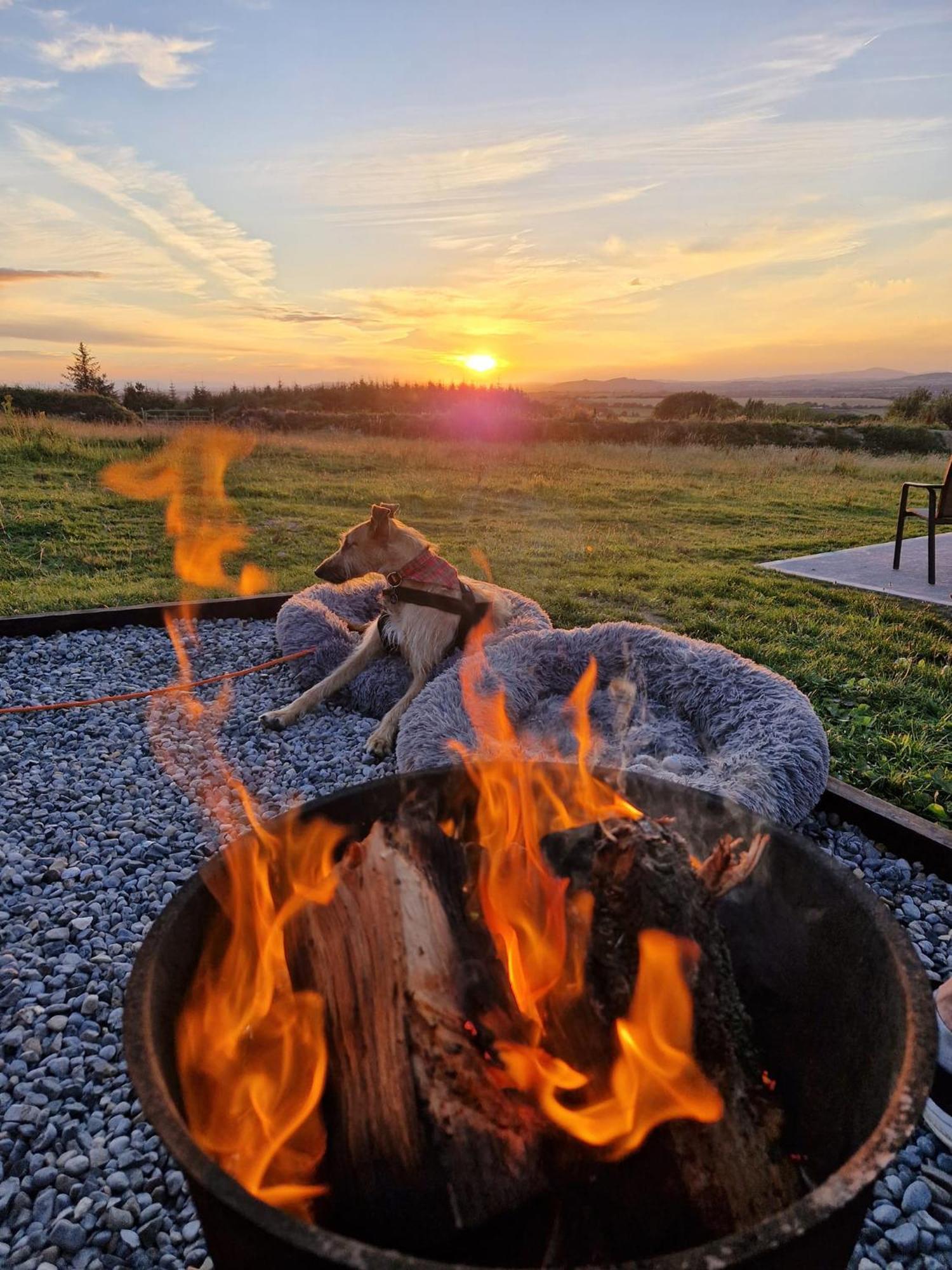 Forth Mountain Glamping Ballintlea Exterior foto